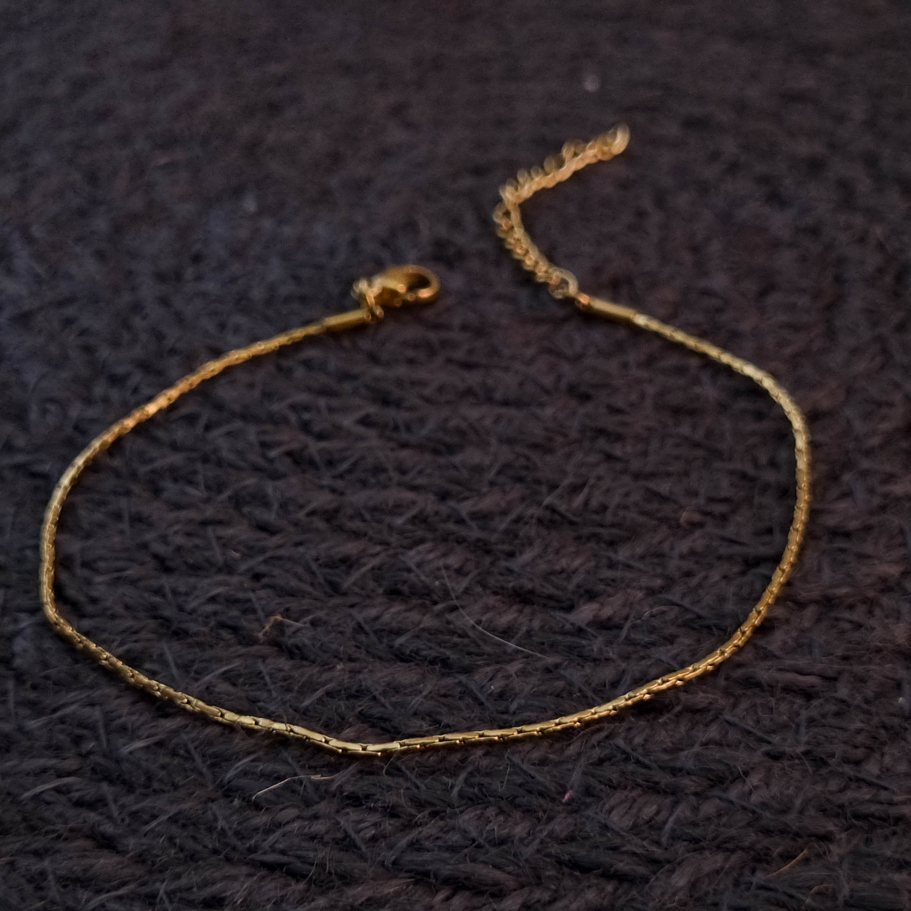 Dainty Gleam Anklet