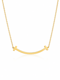 Curved Bar Necklace