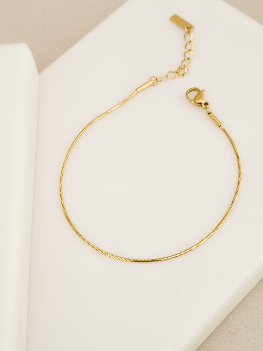 Slim Snake Chain Bracelet